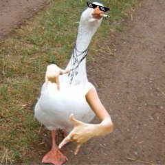 A FIGHT AGAINST A COOL GOOSE