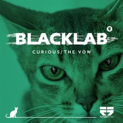 Related tracks: Blacklab - Curious