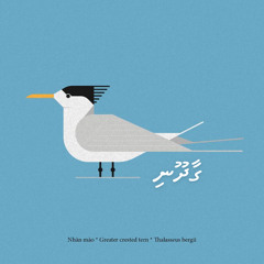 Gaadhooni - Shammoon Mohamed