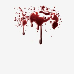 Fahrradsattel |(SPED UP)|