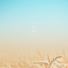 音闕詩聽 - 芒種 (Xiii Remix) feat.趙方婧