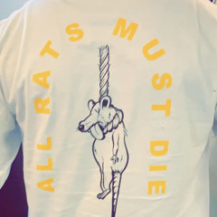 What They Want Freestyle