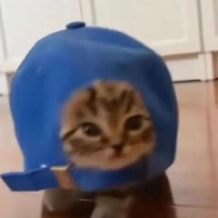Бабочки молчат