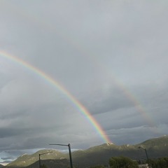 Hallelujah Take 1: Lacina and Company