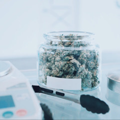 “Zipslocks & Scales” ft Lil Hemp & BM Jake