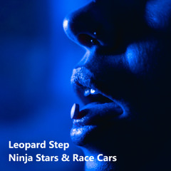 Ninja Stars and Race Cars
