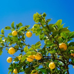 Lemons - Brye (slowed)