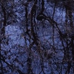 Crystal Rain