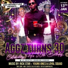 YOUNG ONES "LIVE" @ AGGY'S 30th BIRTTHDAY PARTY