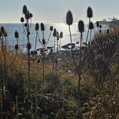 Autumn Island Colours