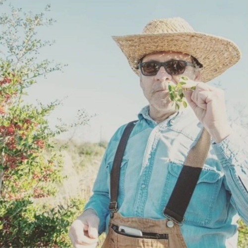 wildcraft sunglasses