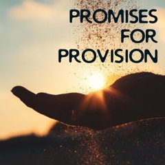 PROMISES FOR PROVISION
