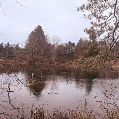 Inside Dead (prod. 19k)