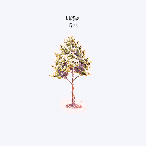 Little Tree