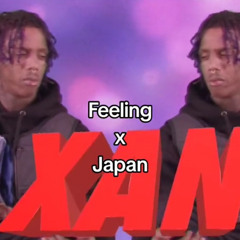 Feeling x Japan