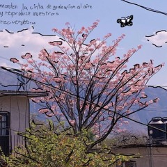 en la constelacion <3 demo