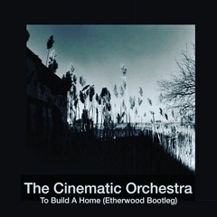 The Cinematic Orchestra - To Build A Home (Etherwood Bootleg)
