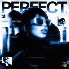 Dina Ayada - Perfect! (Remix)