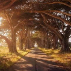 Running Knees - Days of the New