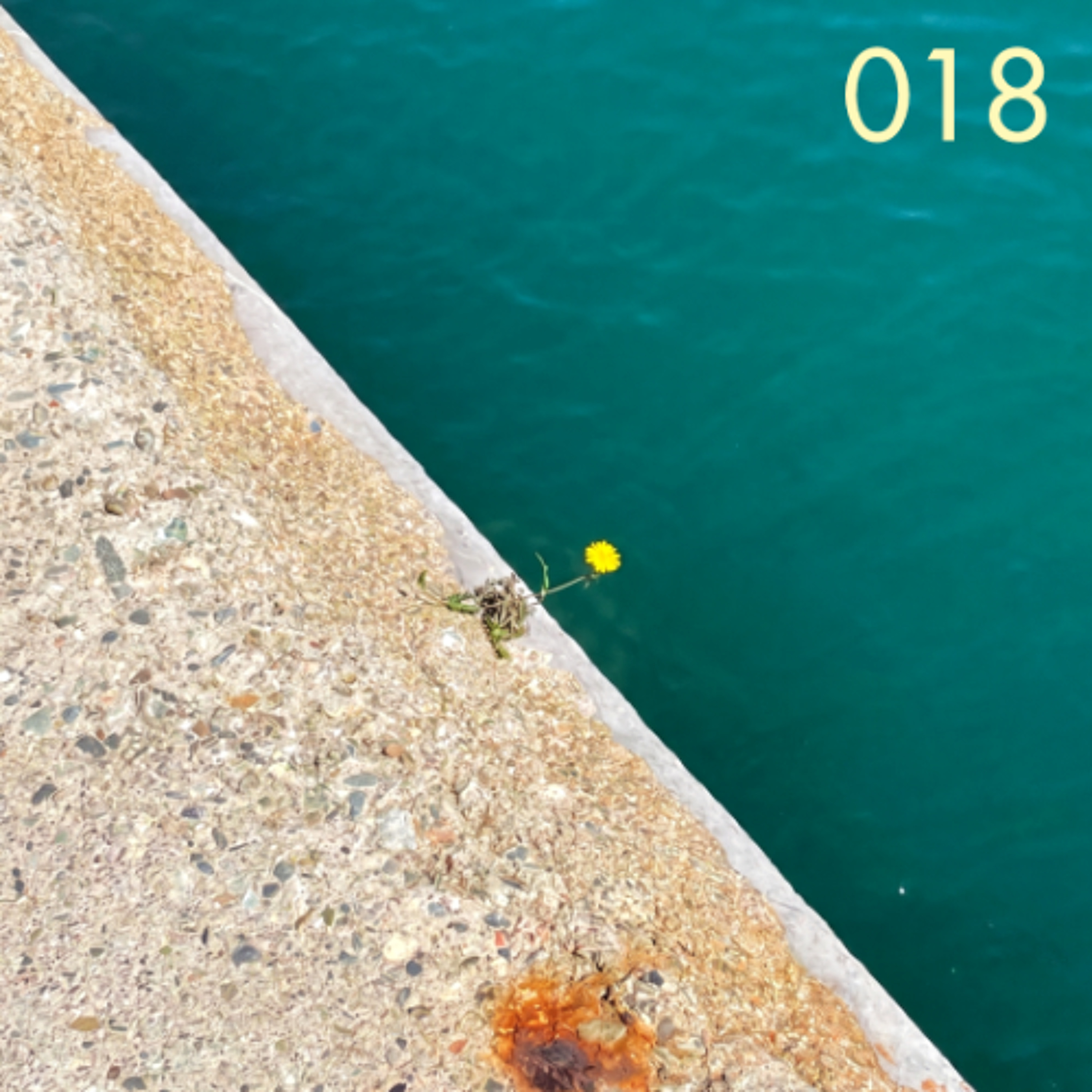 RSS Disco // Summermixes