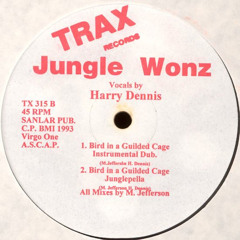 Bird in a Guilded Cage (Club Mix)