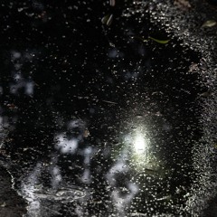 Construcción [ I + II ]  [2022]