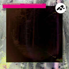 Kordian Nieznanowski - Pojebau