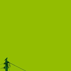 wind bound (extended)