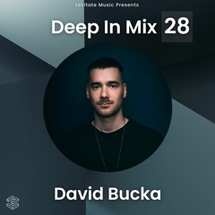 Deep In Mix 28 with David Bucka