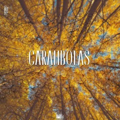 DjPapaDocs - Carambolas (Original Mix)