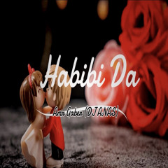 Amr Gaber - Habibi Da (House Mix) DJ ANAS.m4a