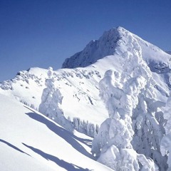 UHLE 02.02.2025 GREETINGS
