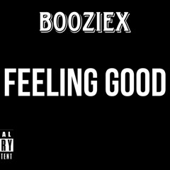 BOOZIEX - Feeling good