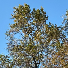 moody good - kings cross (vlryte flip)