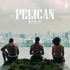 Pélican - L2B