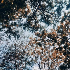 (Mandragora) Sem X Sangathil(Ilayaraja)
