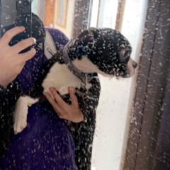 r34L love last 4evr (i think) prod. Zoowe