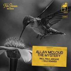 Allan McLoud - The Mystery (Original Mix)