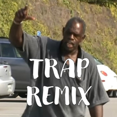 Them Was Some Birds (Trap Remix)
