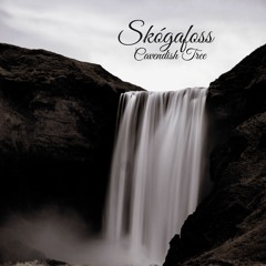 Cavendish Tree - Skógafoss