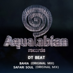 DT BEAT - Safari Soul (Original Mix) [SC Edit]