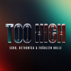 SGRO, Detronica & Fräulein Holle - Too High (Extended Mix)