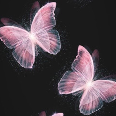 STON!- BUTTERFL! IAM !