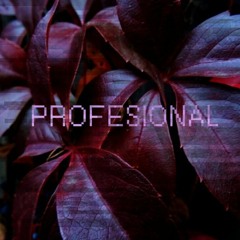 UNA PROFESIONAL