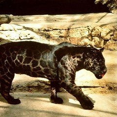 no_pity_remix_vocal_archive_gor