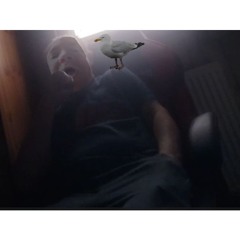 Paul And His Seagul