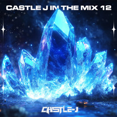 Castle J In The Mix 12