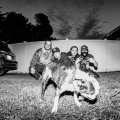 Ruff Rider Anthem(Demo)