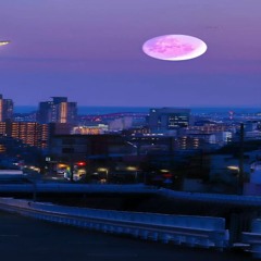 She wants love ft MRZ