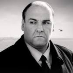 the sopranos x safe in your skin - title fight